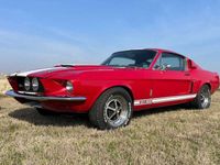 usata Ford Mustang Fastback GT500