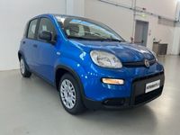 usata Fiat Panda 1.0 FireFly S&S Hybrid Km.0