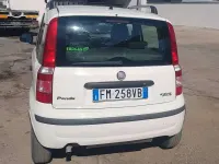 Usata Fiat Panda Active 77 CV (56 kW) 2012 Bianco Utilitaria