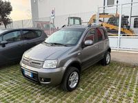 Usata Fiat Panda 4x4 Climbing 74 CV (54 kW) 2012 Grigio Utilitaria