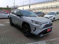 Usata Toyota RAV4 Hybrid Style 218 CV (160 kW) 2022 Argento SUV