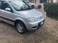 Usata Fiat Panda 60 CV (44 kW) 2010 Grigio Utilitaria