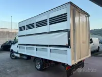 Usata Iveco Daily 125 CV (91 kW) 2002 Bianco