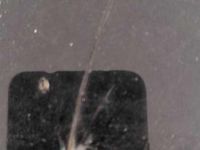 Usata DS Automobiles DS5 Sport Chic 181 CV (133 kW) 2015 Utilitaria