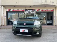 Usata Fiat Panda 4x4 S 95 CV (69 kW) 2016 Verde Utilitaria