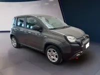 Usata Fiat Panda Cross Cross 69 CV (50 kW) 2022 Grigio Utilitaria