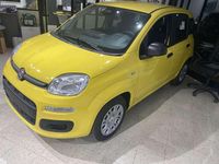 Nuova Fiat Panda S 69 CV (50 kW) 2025 Gialla Utilitaria