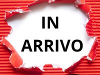 Usata Jeep Compass Sport 163 CV (119 kW) 2012 Argento SUV