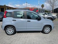 Usata Fiat Panda S 70 CV (51 kW) 2022 Grigio Utilitaria