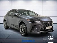Usata Lexus RX350h Executive Line 250 CV (183 kW) 2024 Grigio SUV