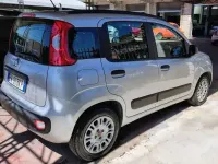 Usata Fiat Panda Easy 69 CV (50 kW) 2014 Argento Utilitaria