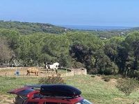 Usata Land Rover Freelander 2 SE 150 CV (110 kW) 2014 Rosso SUV