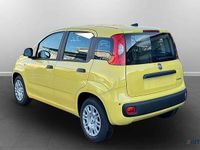 Nuova Fiat Panda Icon 65 CV (47 kW) 2026 Giallo biricchino Utilitaria
