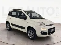Usata Fiat Panda 4x4 Pop 75 CV (55 kW) 2015 Bianco Utilitaria