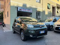 Usata Fiat Panda 4x4 S 75 CV (55 kW) 2015 Verde Utilitaria