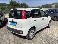 Usata Fiat Panda Easy 75 CV (55 kW) 2015 Bianco Utilitaria