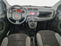 usata Fiat Panda 1.0 70cv S/S Hybrid 5 PORTE