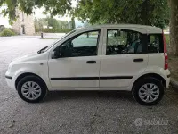 Usata Fiat Panda 60 CV (44 kW) 2009 Bianco Utilitaria