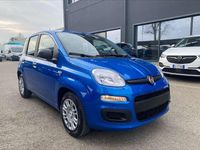 Nuova Fiat Panda Icon 65 CV (47 kW) 2026 Giallo positano / tetto nero Utilitaria