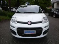 Usata Fiat Panda 4x4 80 CV (58 kW) 2017 Bianco Utilitaria