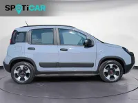 Usata Fiat Panda Cross Cross 69 CV (50 kW) 2021 Grigio Utilitaria