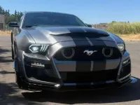 Usata Ford Mustang 305 CV (224 kW) 2024 Grigio Coupé