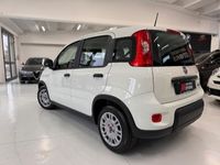 usata Fiat Panda 1.0