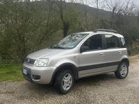 Usata Fiat Panda 4x4 2007 Utilitaria