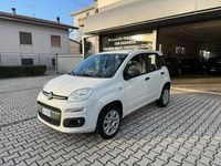 Usata Fiat Panda Easy 71 CV (52 kW) 2020 Bianco Utilitaria