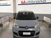 Usata Fiat Panda Easy 69 CV (50 kW) 2020 Grigio Utilitaria