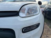 Usata Fiat Panda S 69 CV (50 kW) 2024 Bianco Utilitaria