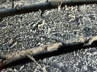 Usata Lancia Delta 2011 Nero Utilitaria