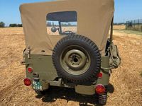 Usata Jeep Willys 2021 Verde