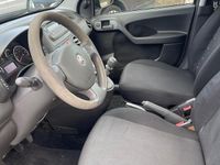 Usata Fiat Panda Dynamic 77 CV (56 kW) 2011 Grigio Utilitaria