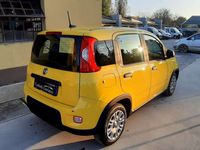 Usata Fiat Panda 69 CV (50 kW) 2024 Giallo Utilitaria