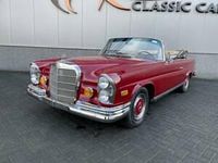 Usata Mercedes 280 SE 160 CV (117 kW) 1969 Rosso Cabrio