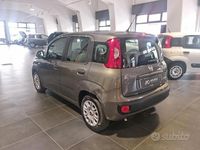 Usata Fiat Panda 70 CV (51 kW) 2022 Grigio Utilitaria
