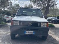 Usata Fiat Panda 4x4 Trekking 54 CV (39 kW) 2001 Bianco Utilitaria