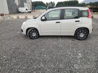 Usata Fiat Panda 95 CV (69 kW) 2017 Marrone Utilitaria