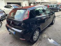 usata Fiat Punto 1.2 8V 1.2 8V 5 porte Lounge