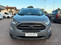 Usata Ford Ecosport 125 CV (91 kW) 2021 Grigio SUV