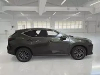 Usata Lexus NX450h+ 184 CV (135 kW) 2023 SUV