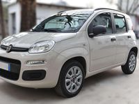 Usata Fiat Panda Easy 80 CV (58 kW) 2014 Caffelatte Utilitaria