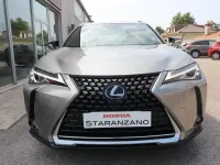 Usata Lexus UX 152 CV (111 kW) 2020 Grigio SUV