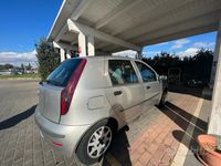 usata Fiat Punto Punto 1.2 5 porte Dynamic