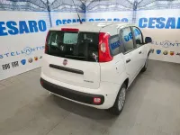 Nuova Fiat Panda Pop 65 CV (47 kW) 2026 Bianco gelato (pastello) Utilitaria