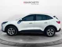 Usata Ford Kuga Business Edition 190 CV (139 kW) 2022 Bianco SUV