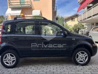 Usata Fiat Panda 4x4 Climbing 69 CV (50 kW) 2008 Nero Utilitaria