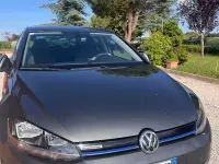 Usata VW Golf VII Executive 130 CV (95 kW) 2019 Berlina