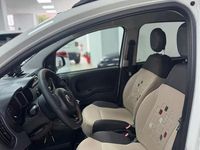 Usata Fiat Panda 75 CV (55 kW) 2018 Utilitaria